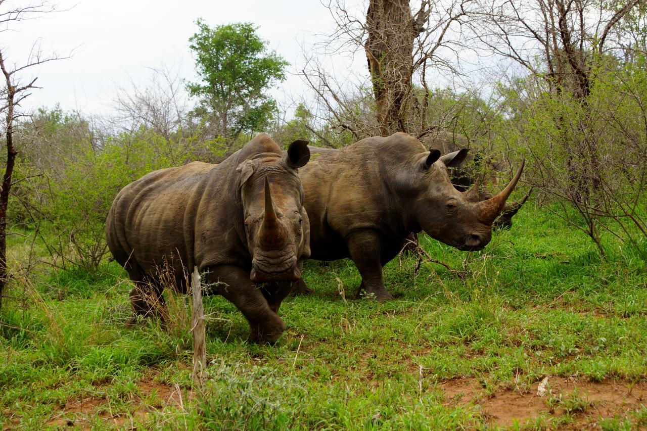 Marloth Park Hippo House Vila Exterior foto
